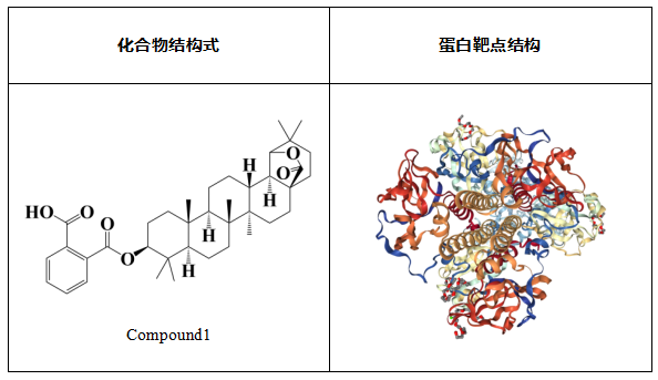 計算輔助藥物設(shè)計